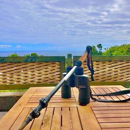 Flora E Fauna House Villa Biscoitos  Екстериор снимка