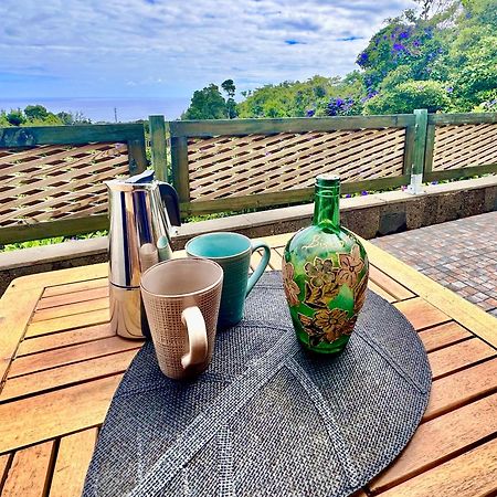 Flora E Fauna House Villa Biscoitos  Екстериор снимка